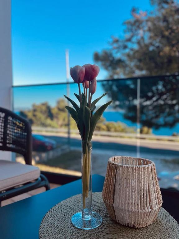 Apartman Lucia, Mimice