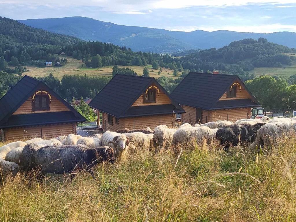 Chaty pod Pilskiem - sauna i jacuzzi w cenie, Korbielów