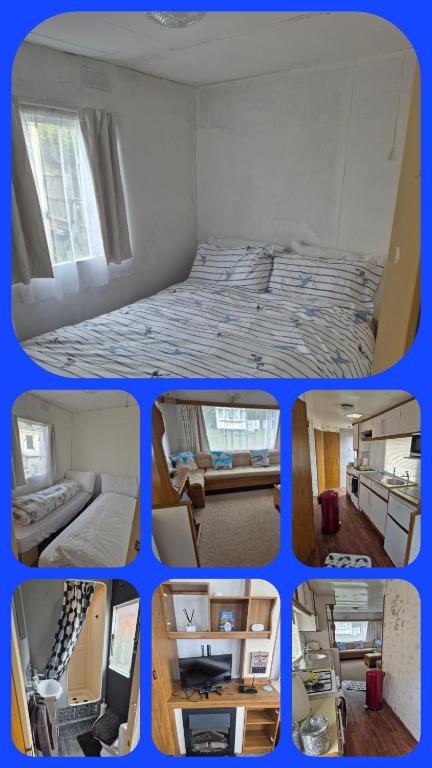 Seagull nest hemsby, Hemsby