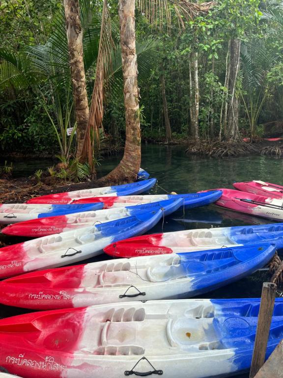 Canoeing