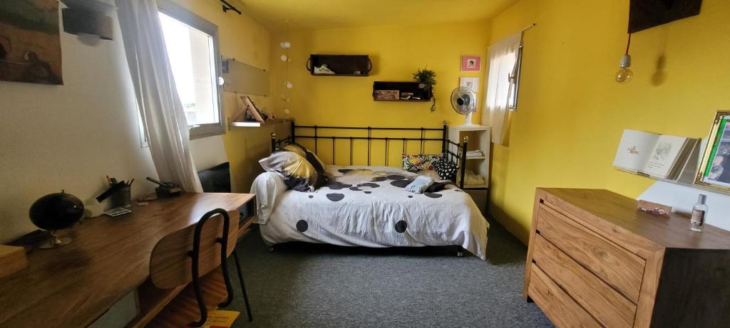 DUPLEX INTRA-MUROS calme & spacieux près du Palais des Papes - 5