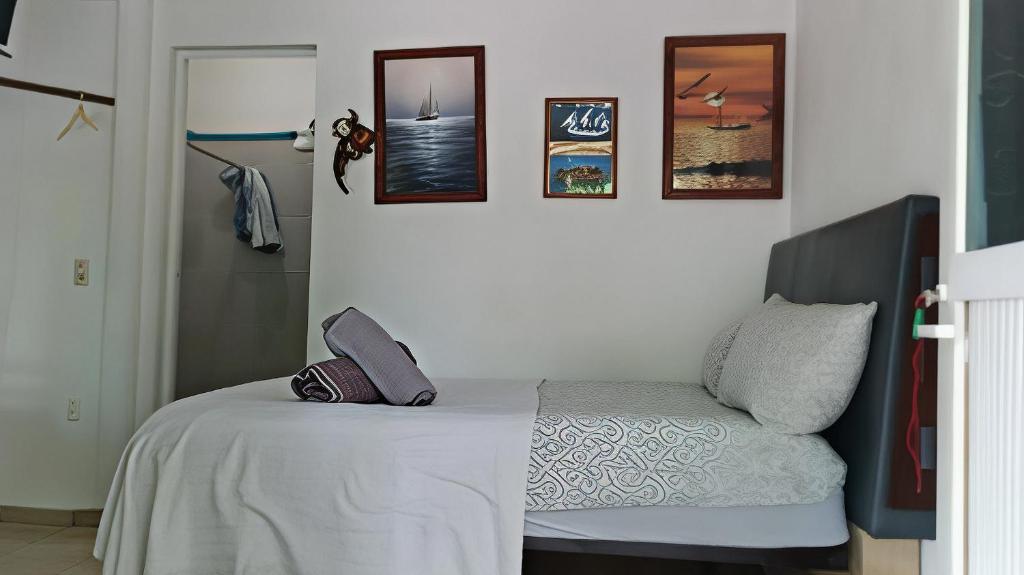 Barato, cómodo y accesible Barcos, Manzanillo