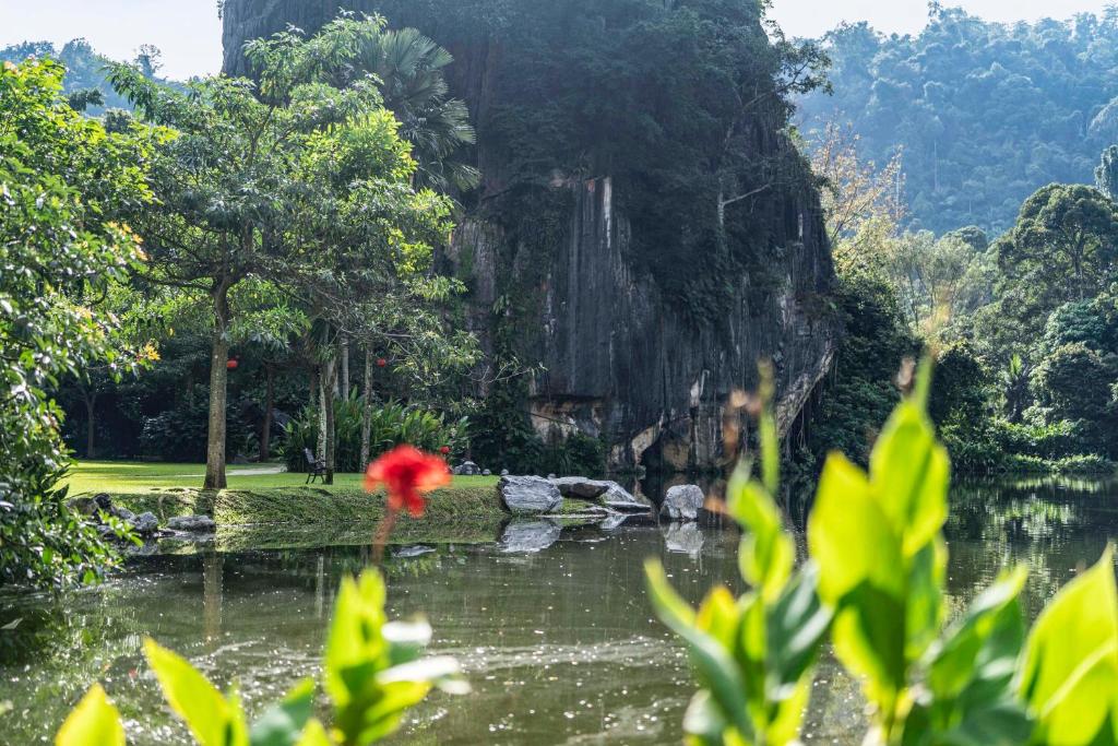 Surrounding environment