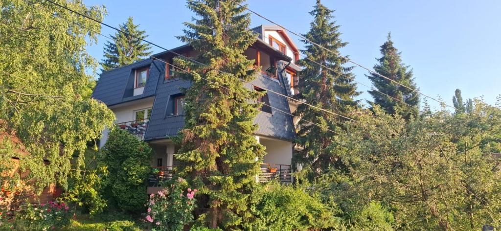 Guesthouse Hill - 3