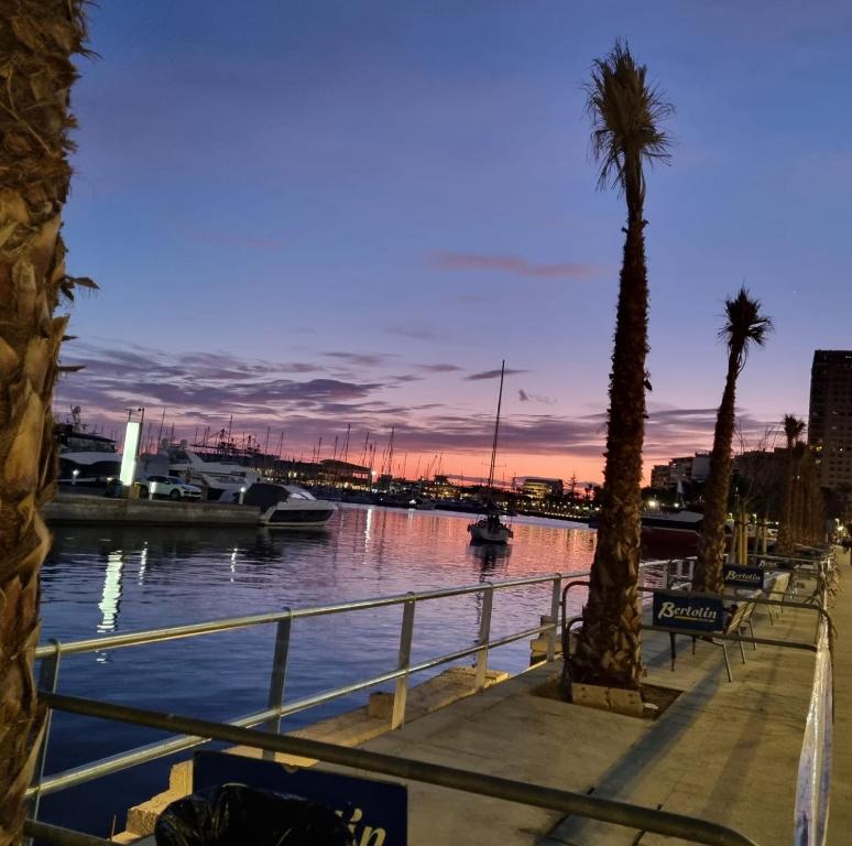 Warm Welcome, Alicante