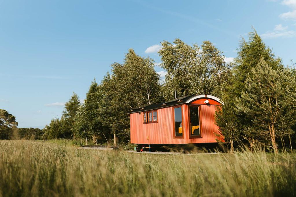 Sycamore and Stars Off Grid Retreat, Grasby