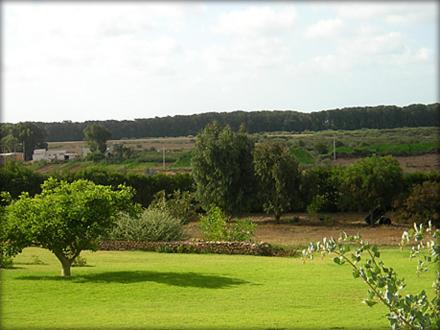 Surrounding environment