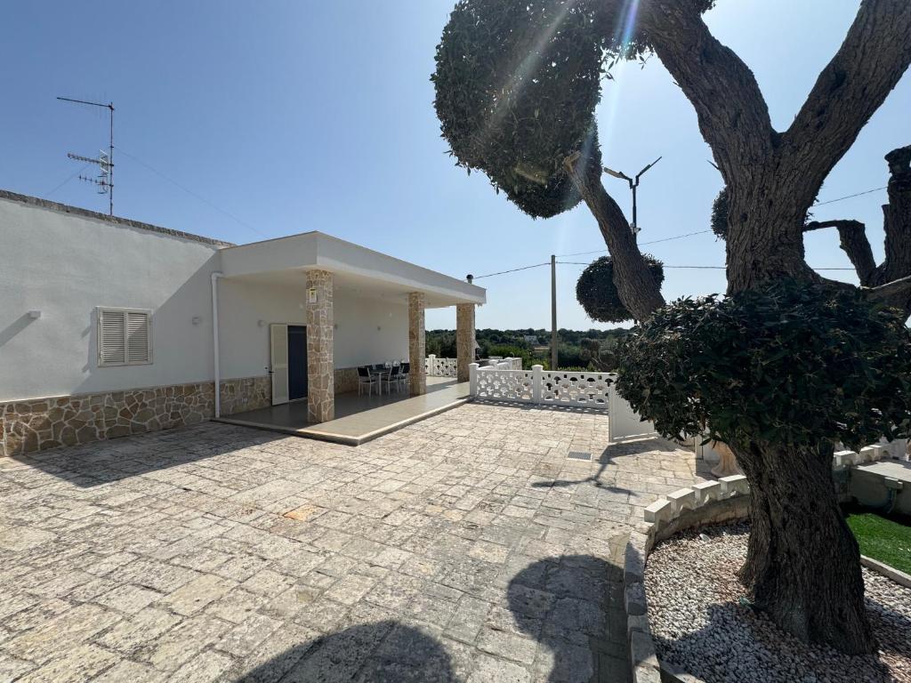 Regina di Puglia Casa Vacanze - 3