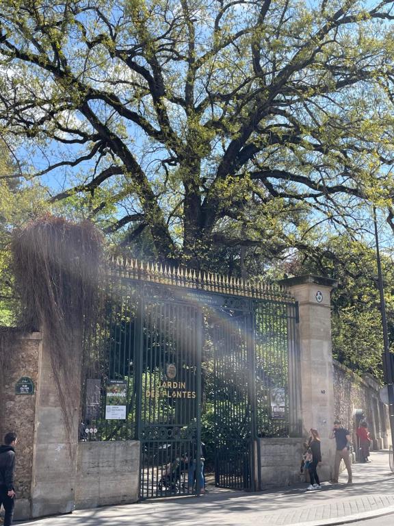 Studio Jardin des Plantes - 5