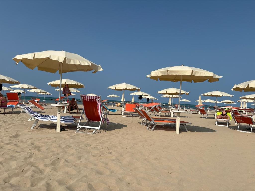 Hotel Rosy - 5