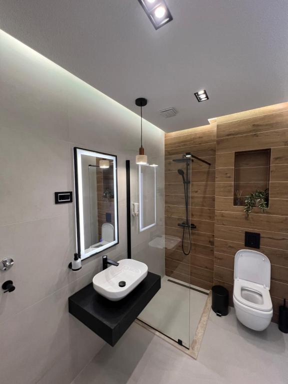 Apartmani Aleksic - 2