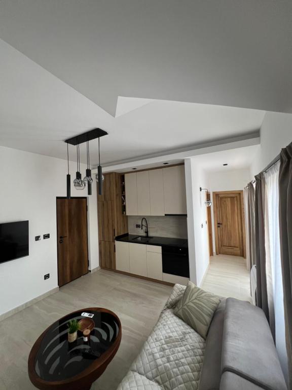 Apartmani Aleksic - 4