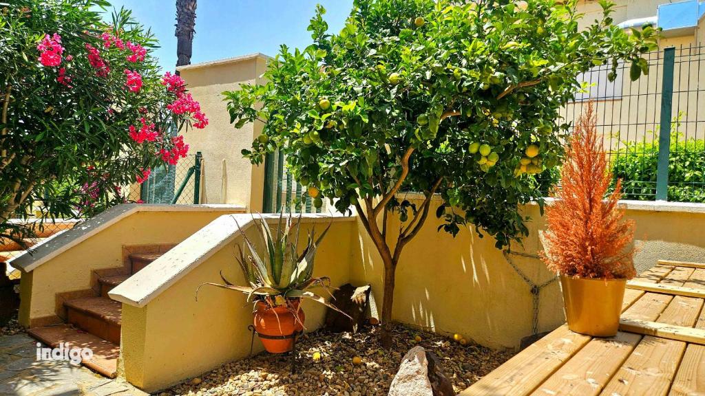 South Facing Townhouse - Direct Pool - ANN01 - 3