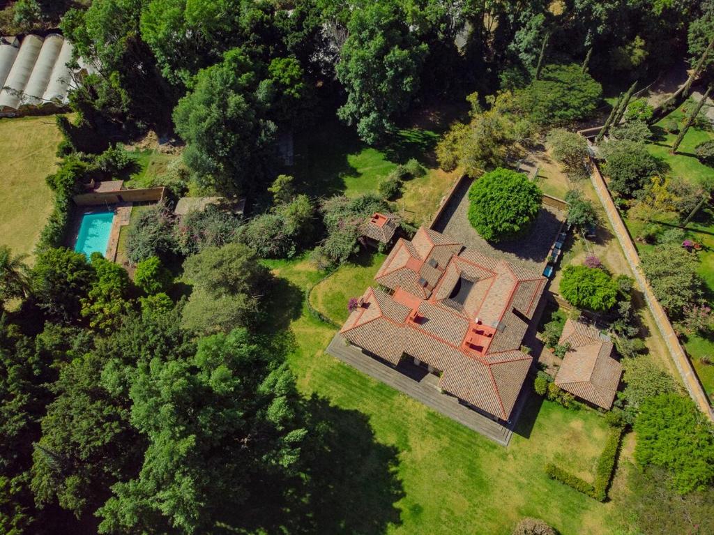 Arke Tepoztlan, Tepoztlán