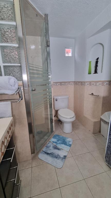 Departamento céntrico, amplio y nuevo cerca del Aeropuerto y GNP-Foro sol - 2