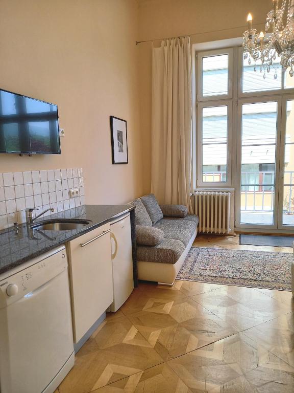 WOLKE, Apartment mit Balkon am Fluss, Zentrum - 5