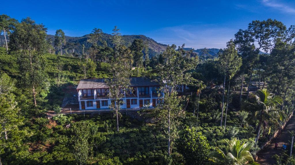 The Tea Tree Resort, Ella 2024 Updated Prices, Deals