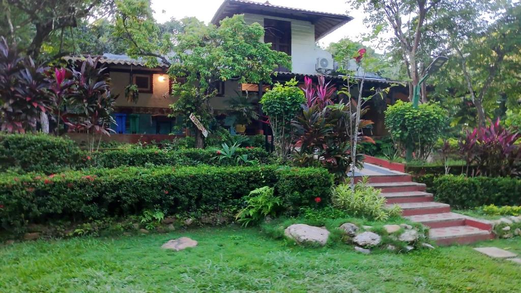 Entre Bosques Tayrona - 2