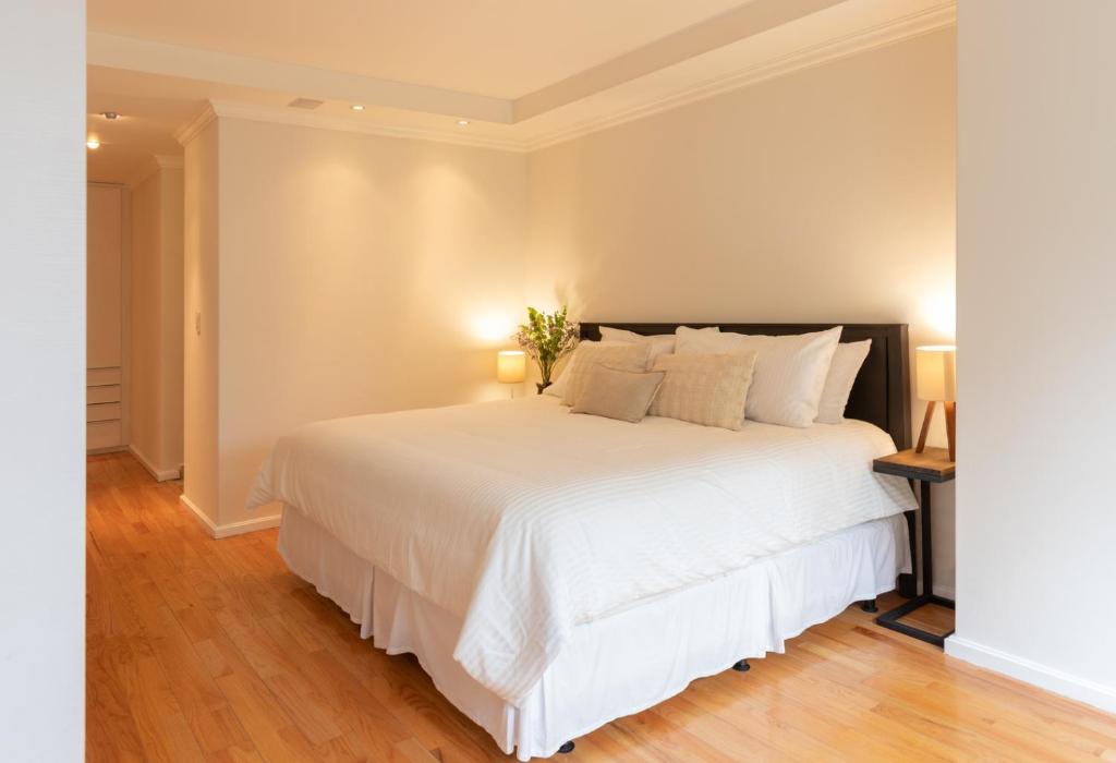 2BR Polanco next to Masaryk - 5