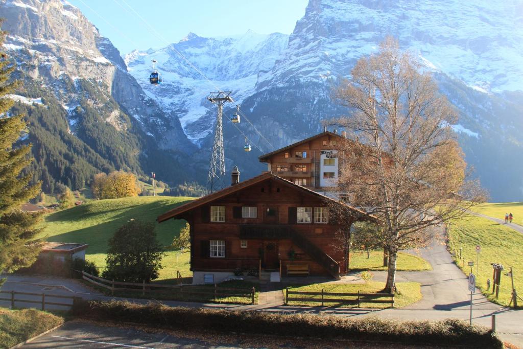 Superior Apartment 100m2 Bodmisonne - Grindelwald - 4