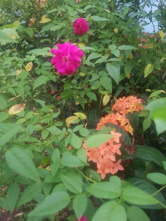 VeKay Apartment, Mba