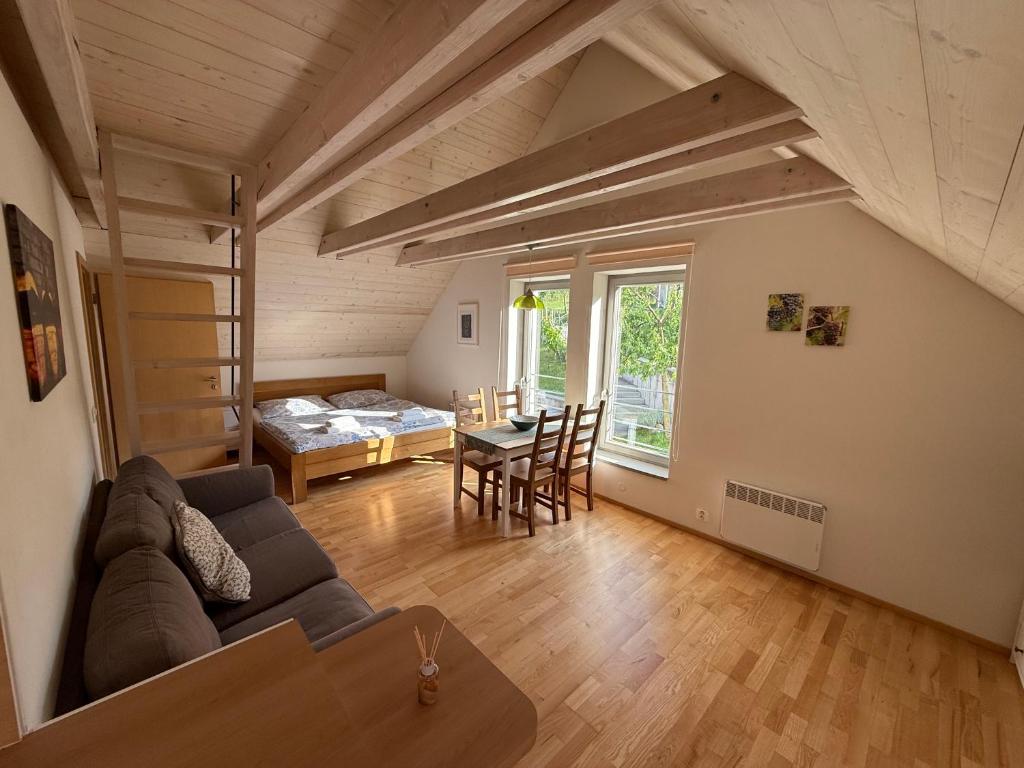 Apartmán U Venuše, Pavlov