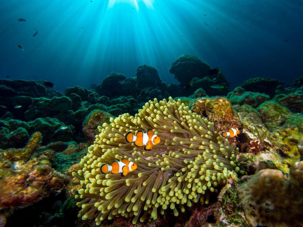 Sports and activities