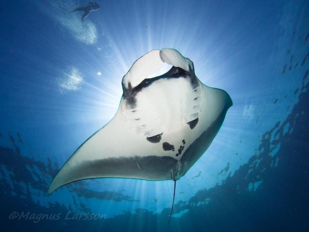 Sports and activities