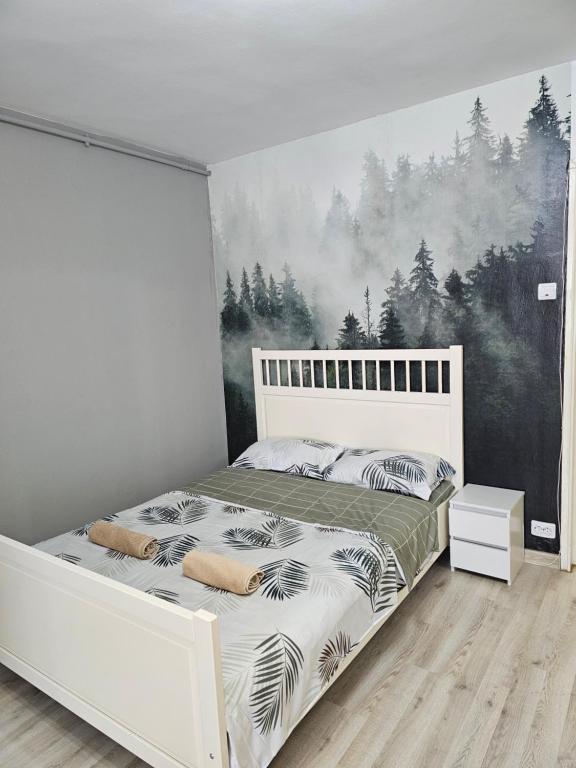 Forest Studio, Sibiu