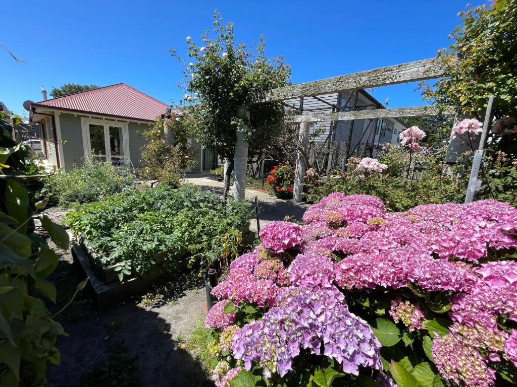Classical & new CNZhouse with space, Christchurch