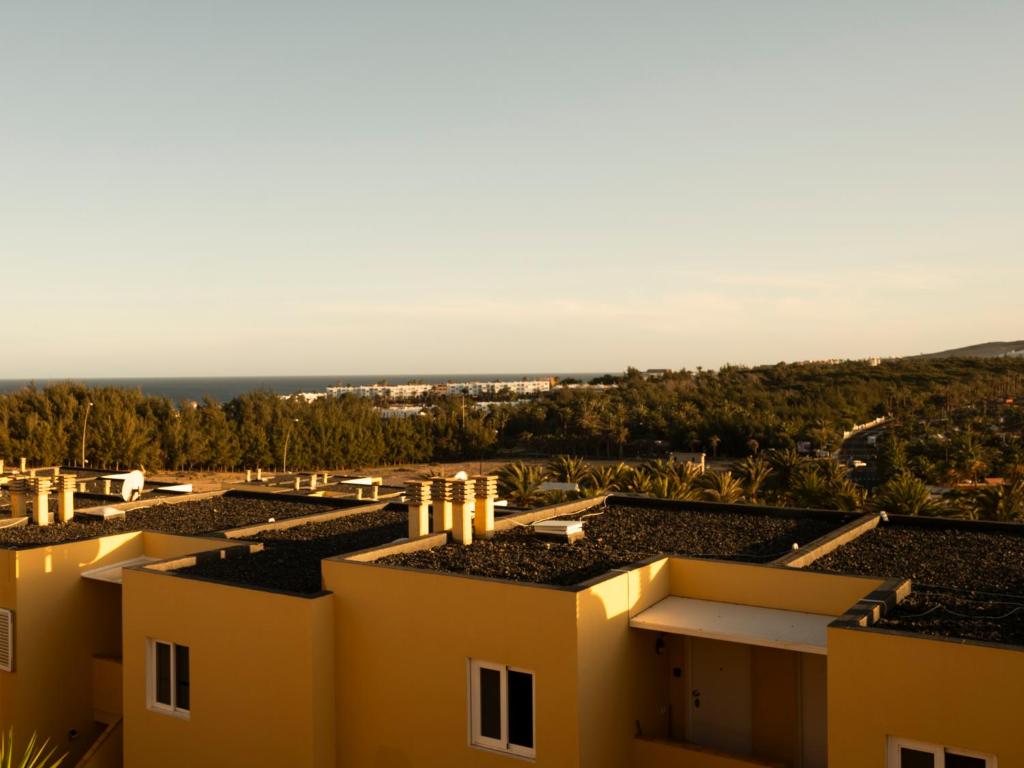Casa Mejillon - Costa Calma - Terrace WiFi Hammock - 5