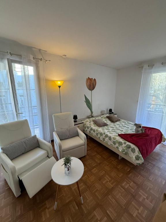 Studio tout équipé face aux thermes - 3
