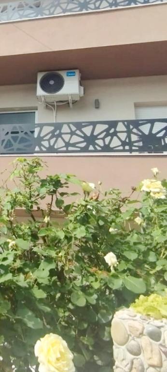 MAFI AS APARTMAN - 3