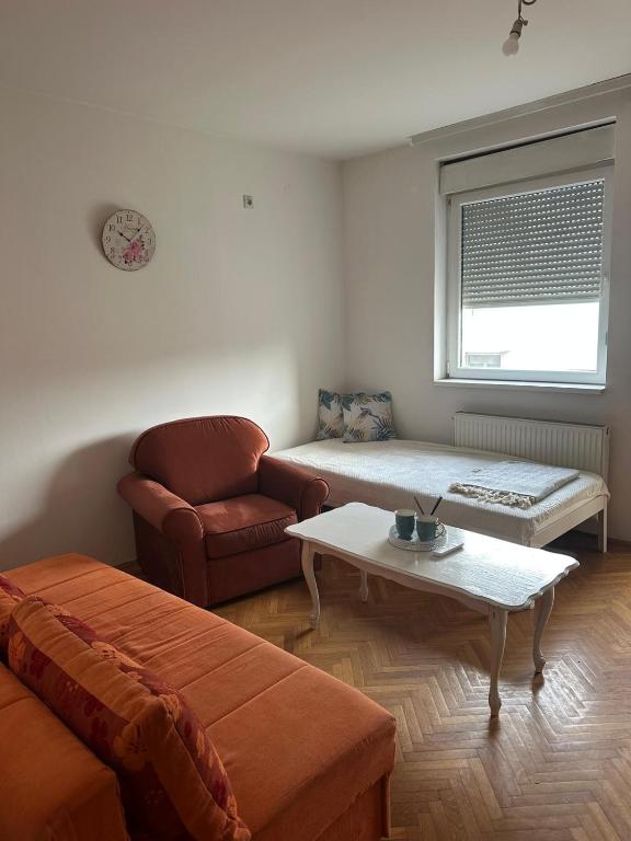 Latinovic 36, Novi Sad