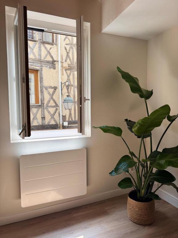 Élégant duplex dans le centre historique - 2