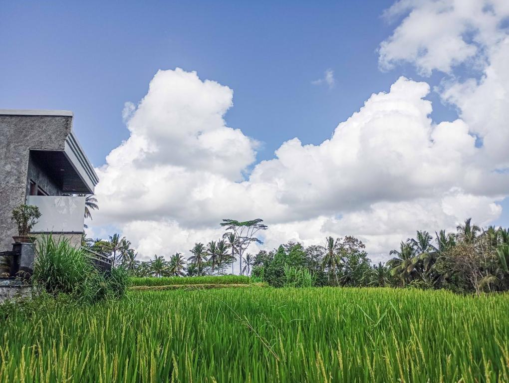 Umah Geina Ubud, Tegalalang