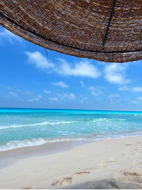 قريه اللوتسLotus for families only, El Alamein