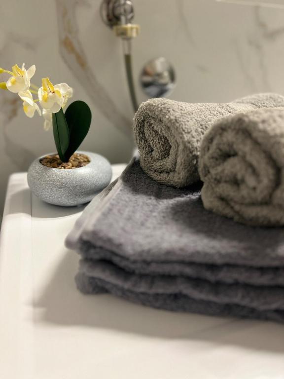 Capital Luxe Podgorica - 5