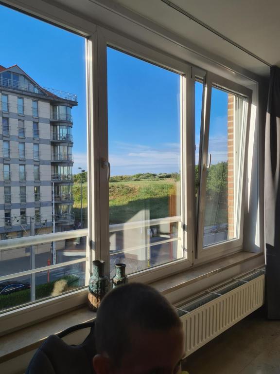 Vdreams, Blankenberge