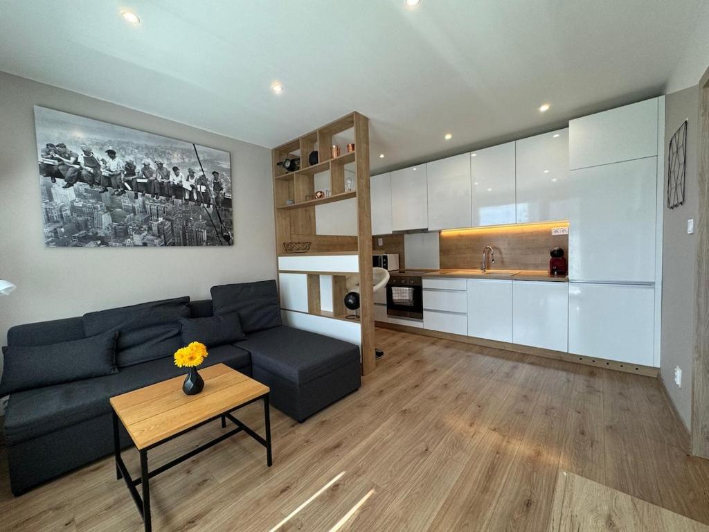 Apartment Košice center, Košice