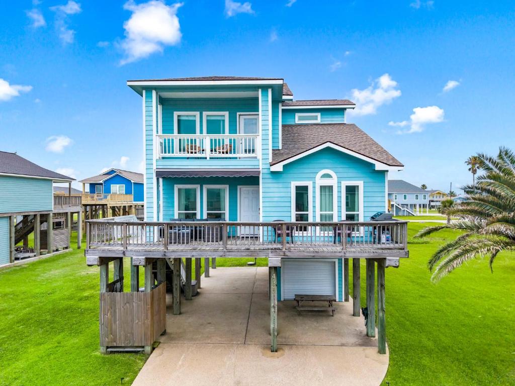 Palms & Pelicans, Galveston