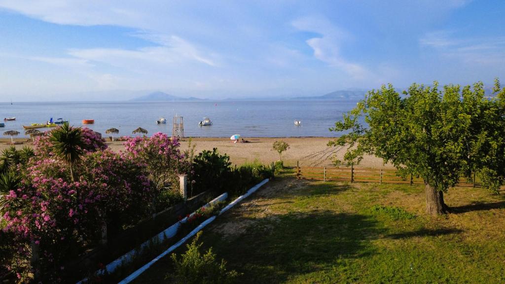 Ever Green beach Apartments — Kavos, Ionian Islands