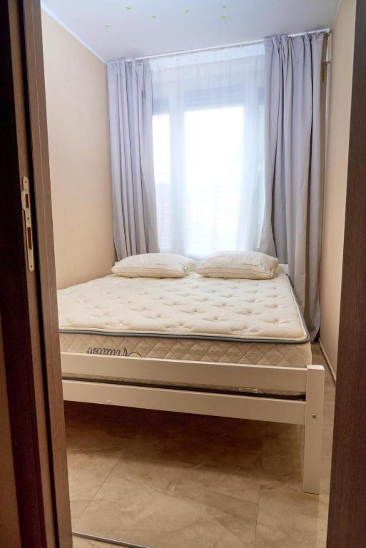 Dorćollywood 42 - 5