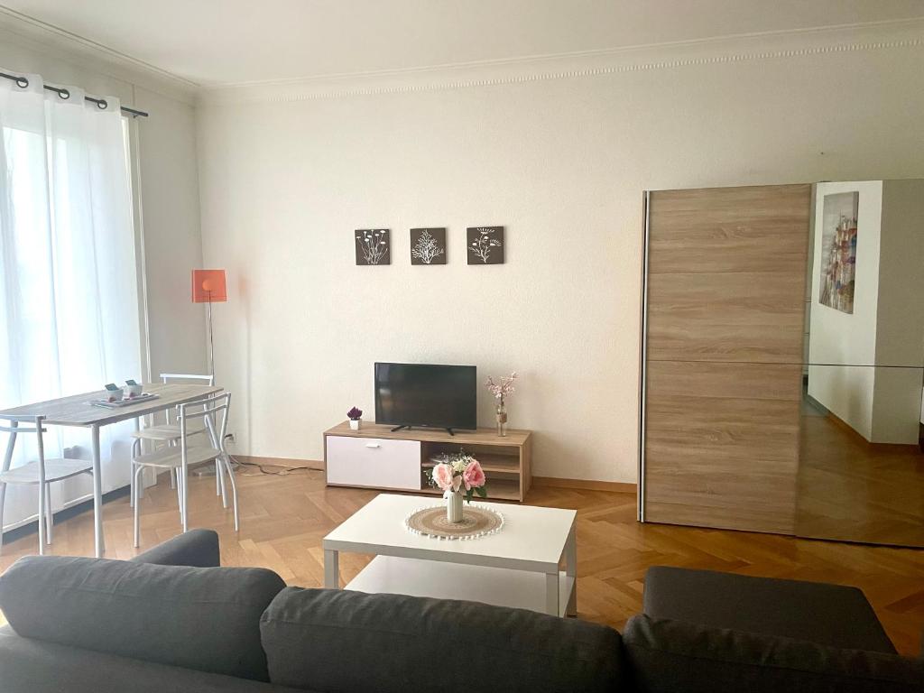 Fully Furnished down town- 5 minutes from Lausanne Train station - 3