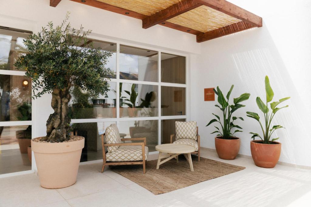 Caramelo Marina Calan Bosch - Adults Only — Hotel building in Cala'n Bosch, Balearic Islands