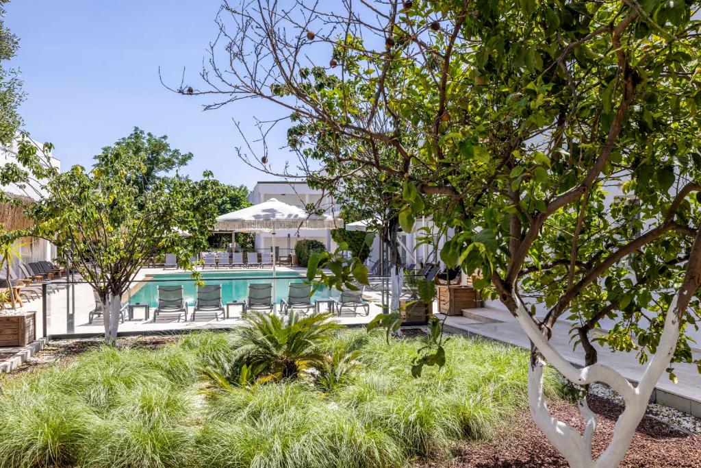 보드럼 마야 호텔 호텔 이미지 1