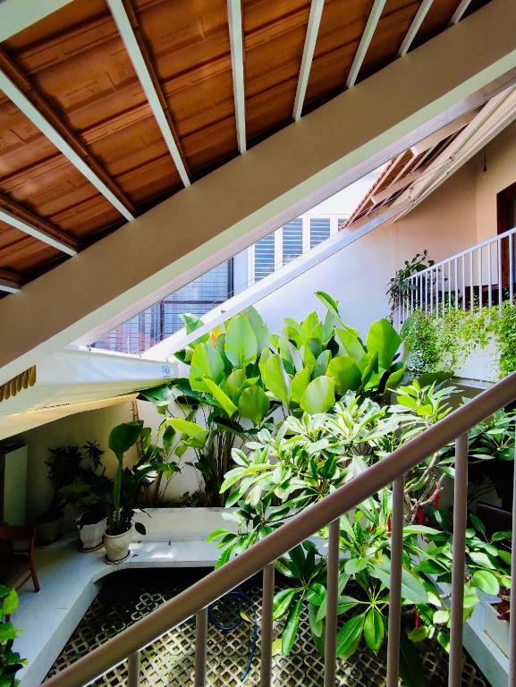 50b Homestay