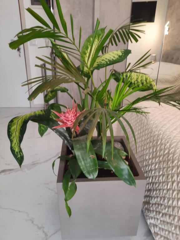 MiNi Paradise - 4