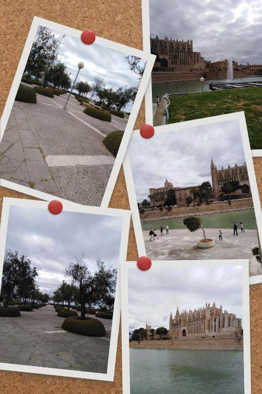 Mystique, Palma de Mallorca