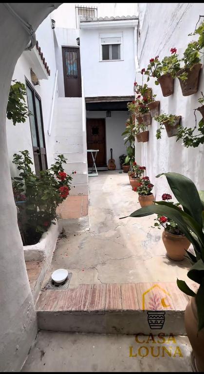 Casa Louna - 2